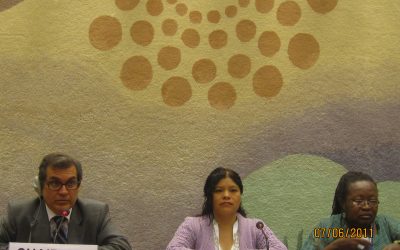 A 12 años de la adopción del Convenio 189 en la OIT y 2 años de su ratificado en México, falta mucho por garantizar los derechos de las personas trabajadoras del hogar.